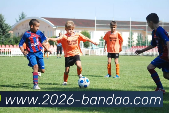 App Interface Preview